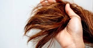 How to Prevent Hair Frizz